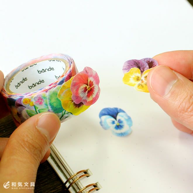 000000145566-04.jpg?size=org&t