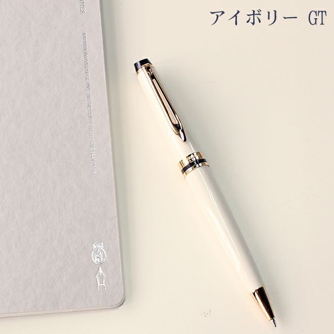 ウォーターマン WATERMAN エキスパート エッセンシャル【名入れ 無料