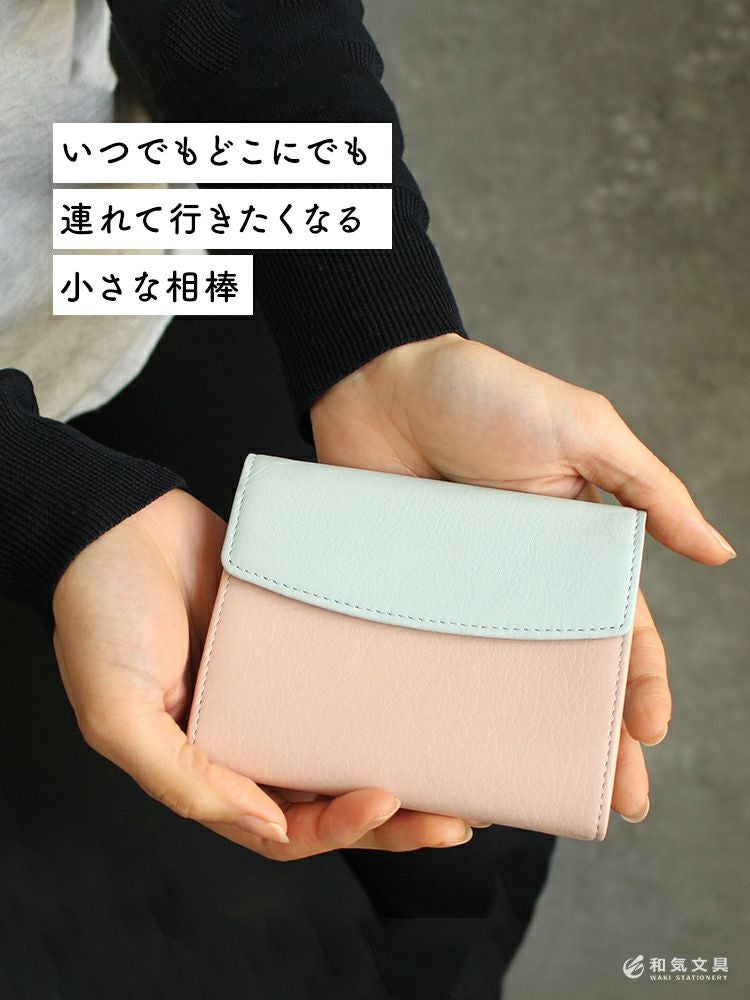 マイクロ5 flap アシュフォード ASHFORD システム手帳 ミニ5 13mm