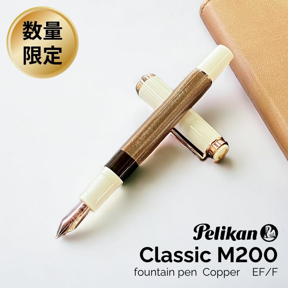ペリカン Pelikan クラシックP205 ブラック シルバー 万年筆 両用式