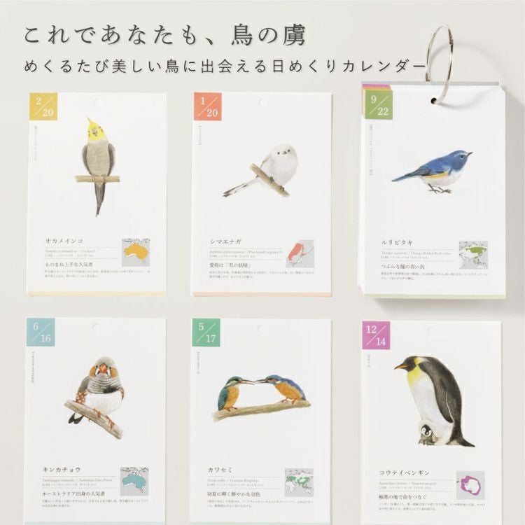 000000175200-02.jpg?size=org&t