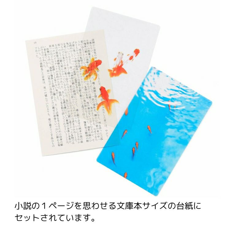 moments 透明写真栞 モーメンツ ブックマーカー 通販 文房具の和気文具